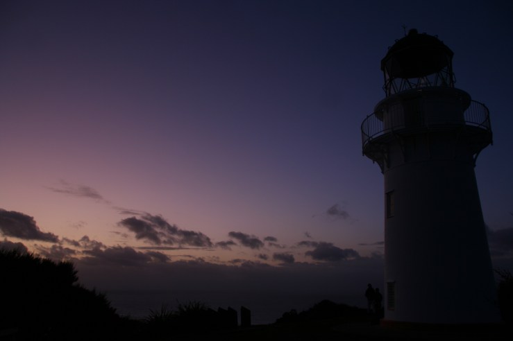 The first picture of the day.